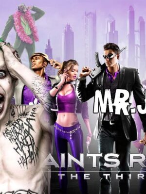 Saints Row: The Third PC Steam CD Key