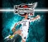 IHF Handball Challenge 14 EU PC Steam CD Key