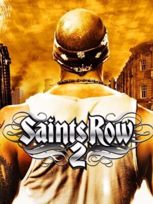 Saints Row 2 EU Steam CD Key