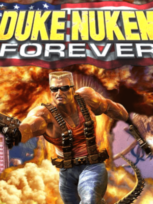 Duke Nukem Forever Steam CD Key