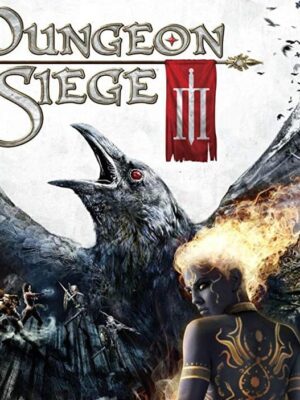 Dungeon Siege III PC Steam CD Key