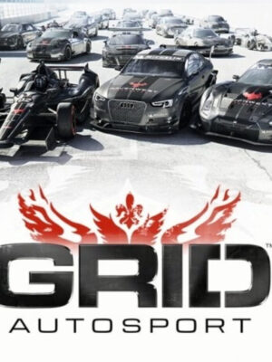 GRID Autosport EU PC Steam CD Key