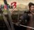 Way of the Samurai 3 EU Steam Altergift